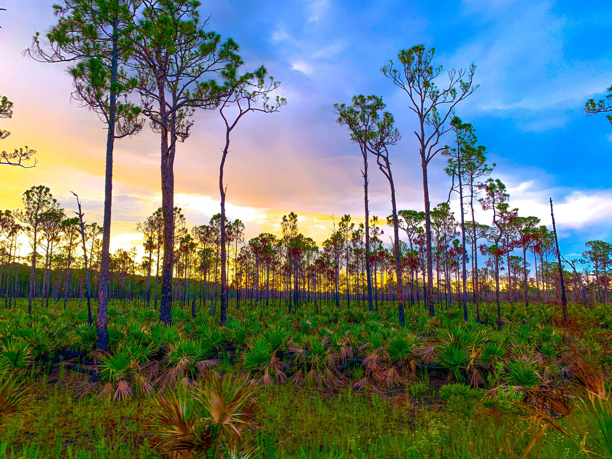 jonathan dickinson state park