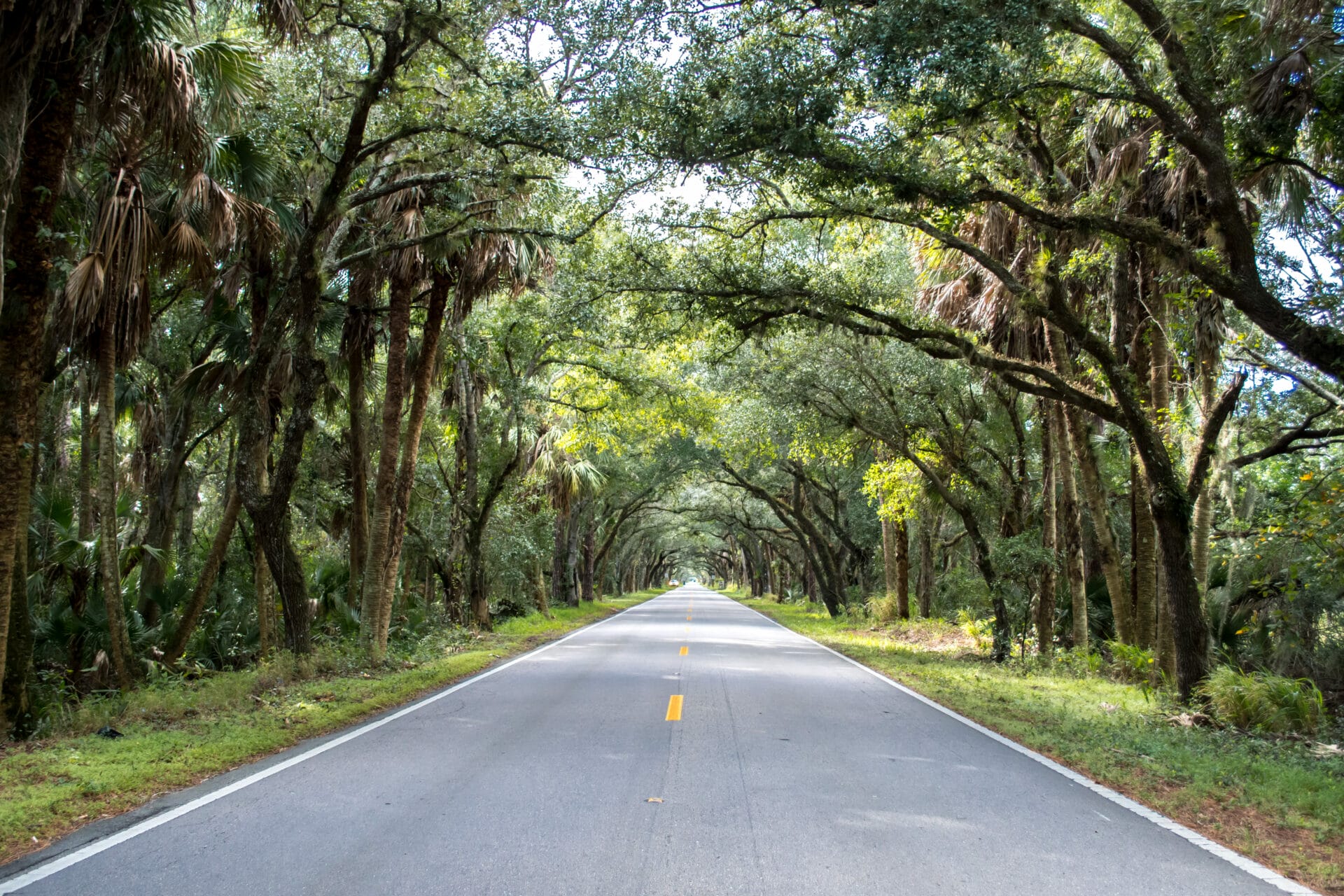 martin grade scenic highway